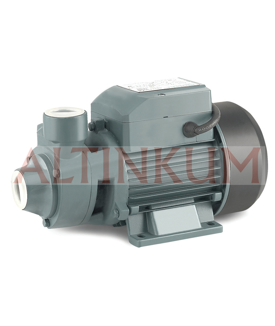 Rainpump QB70 Santrifuj Pompa 48 Metre 0.75 Hp Monofaze